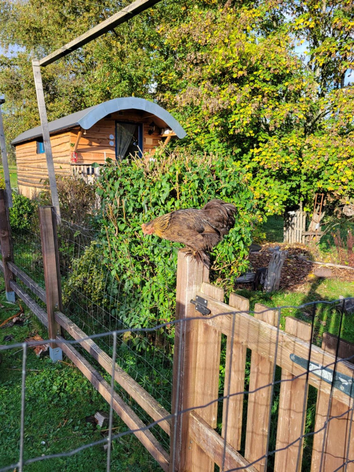 Leval  La Roulotte Tiny House Du Mond'Ideal الغرفة الصورة